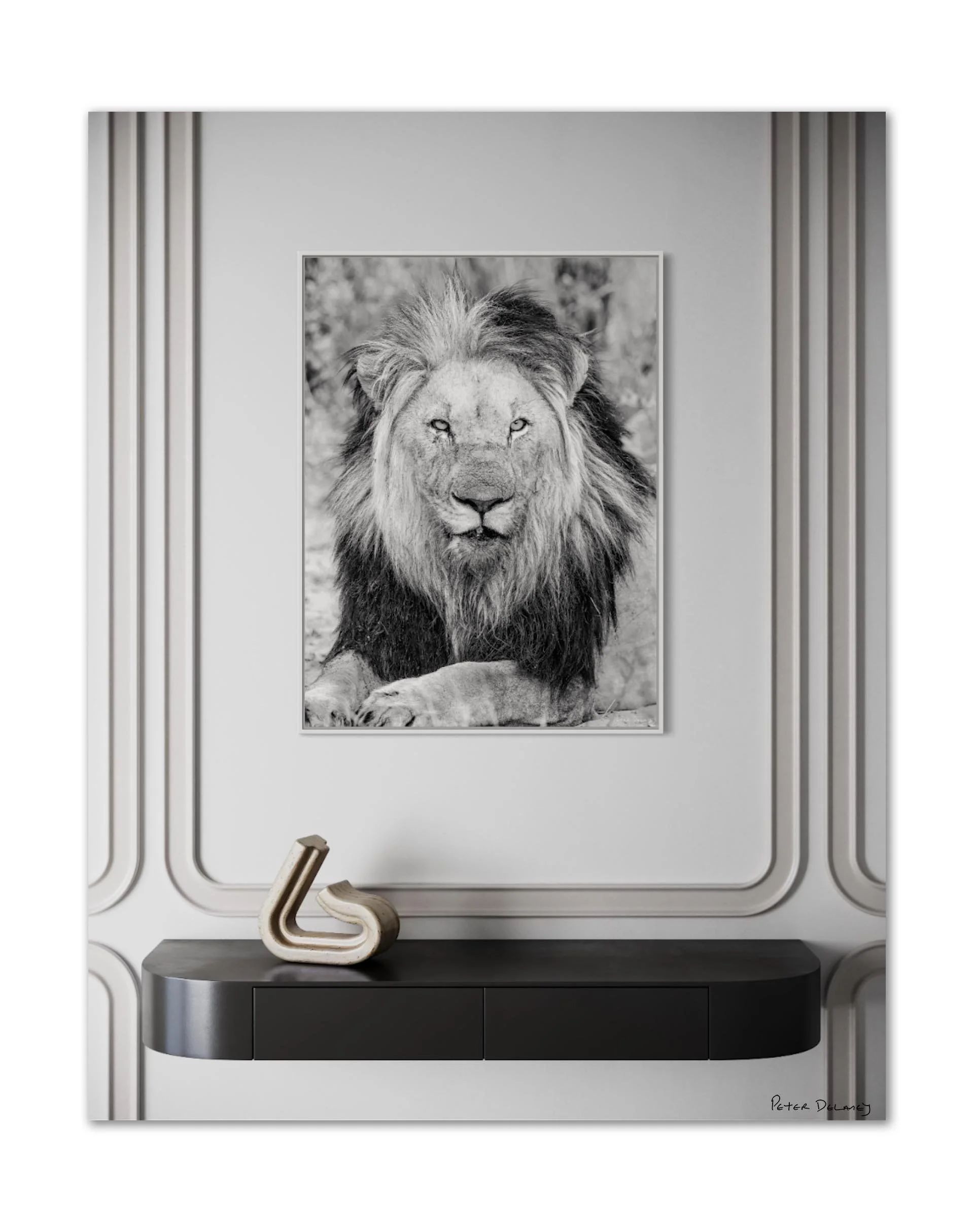 Black and White African Wildlife Art Prints | Peter Delaney